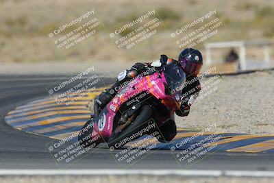 media/Apr-09-2023-SoCal Trackdays (Sun) [[333f347954]]/Turn 11 (10am)/